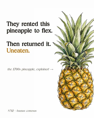 Meet Your Fruit · pineapple